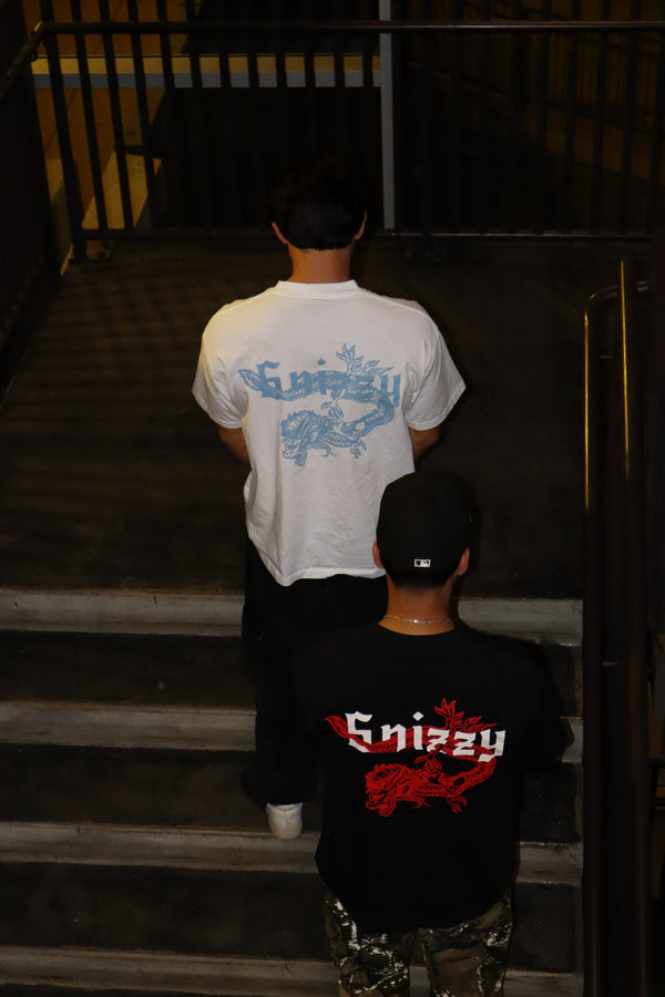 Dark Flame Shirt & Ice Dragon Shirt